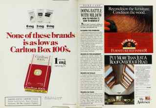 Better Homes & Gardens August 1987 Magazine Article: Page 38