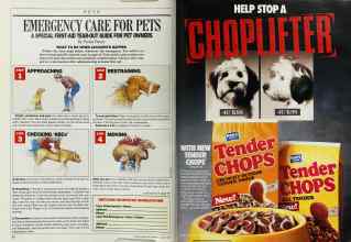 Better Homes & Gardens August 1987 Magazine Article: Page 42