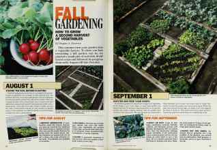 Better Homes & Gardens August 1987 Magazine Article: FALL GARDENING