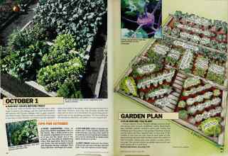 Better Homes & Gardens August 1987 Magazine Article: Page 84