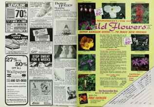 Better Homes & Gardens August 1987 Magazine Article: Page 138