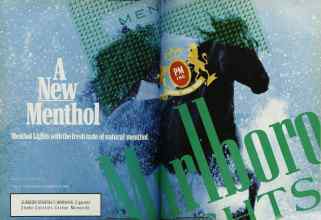 Better Homes & Gardens October 1987 Magazine Article: Page 74