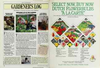Better Homes & Gardens October 1987 Magazine Article: Page 80