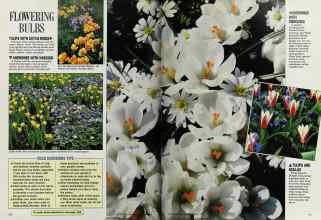 Better Homes & Gardens October 1987 Magazine Article: Page 120