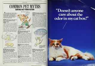 Better Homes & Gardens October 1987 Magazine Article: Page 182