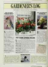 Better Homes & Gardens November 1987 Magazine Article: FEED THE BIRDS DINNER ON THE FLY