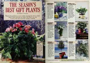 Better Homes & Gardens November 1987 Magazine Article: THE SEASON'S BEST GIFT PLANTS