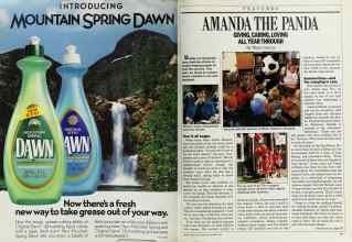 Better Homes & Gardens December 1987 Magazine Article: Page 80