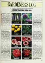 Better Homes & Gardens January 1988 Magazine Article: 8 GREAT GARDEN VARIETIES