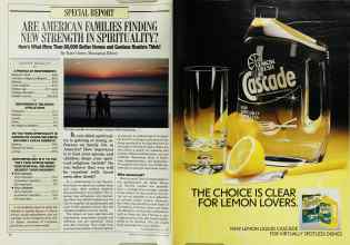 Better Homes & Gardens January 1988 Magazine Article: Page 16