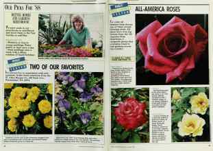 Better Homes & Gardens January 1988 Magazine Article: Page 38