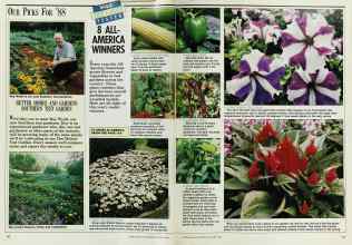 Better Homes & Gardens January 1988 Magazine Article: Page 40
