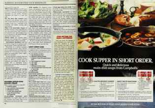 Better Homes & Gardens January 1988 Magazine Article: Page 106