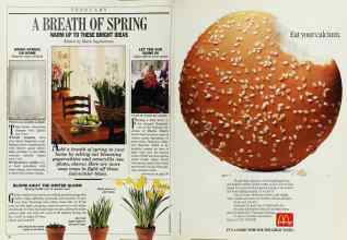 Better Homes & Gardens February 1988 Magazine Article: Page 34
