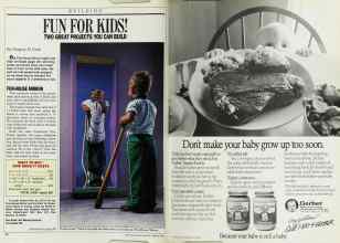 Better Homes & Gardens February 1988 Magazine Article: Page 84