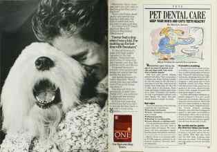 Better Homes & Gardens February 1988 Magazine Article: Page 144