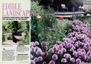 Better Homes & Gardens February 1988 Magazine Article: EDIBLE LANDSCAPING