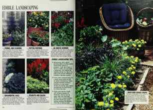 Better Homes & Gardens February 1988 Magazine Article: Page 150