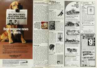 Better Homes & Gardens February 1988 Magazine Article: Page 164
