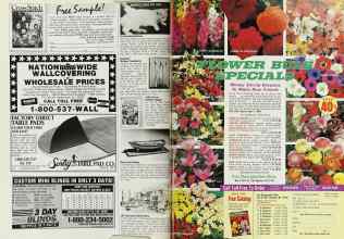 Better Homes & Gardens February 1988 Magazine Article: Page 166