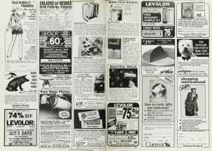 Better Homes & Gardens February 1988 Magazine Article: Page 168