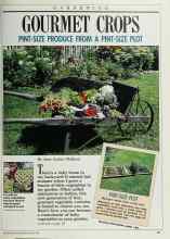 Better Homes & Gardens March 1988 Magazine Article: GOURMET CROPS