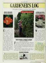 Better Homes & Gardens March 1988 Magazine Article: GROW YOUR OWN BRIGHT BEGONIAS