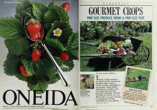 Better Homes & Gardens March 1988 Magazine Article: Page 36