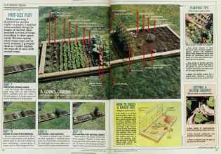 Better Homes & Gardens March 1988 Magazine Article: Page 38