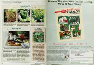 Better Homes & Gardens March 1988 Magazine Article: Page 40