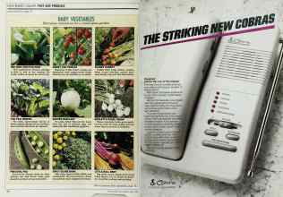 Better Homes & Gardens March 1988 Magazine Article: Page 42