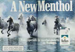 Better Homes & Gardens March 1988 Magazine Article: Page 44