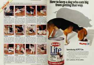 Better Homes & Gardens March 1988 Magazine Article: Page 170