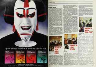 Better Homes & Gardens March 1988 Magazine Article: Page 172