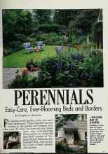 Better Homes & Gardens April 1988 Magazine Article: PERENNIALS
