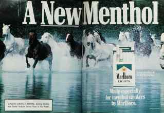 Better Homes & Gardens April 1988 Magazine Article: Page 24