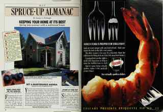 Better Homes & Gardens May 1988 Magazine Article: Page 20