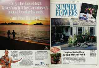 Better Homes & Gardens May 1988 Magazine Article: Page 38