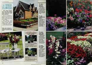 Better Homes & Gardens May 1988 Magazine Article: Page 40