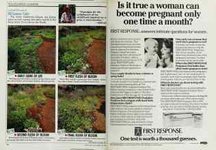 Better Homes & Gardens May 1988 Magazine Article: Page 46