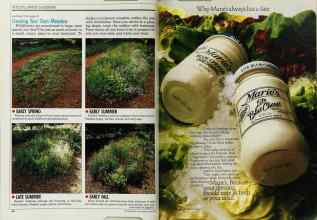Better Homes & Gardens May 1988 Magazine Article: Page 48