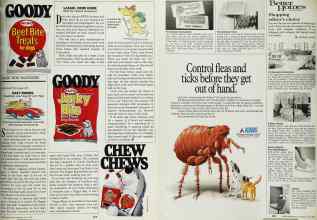 Better Homes & Gardens May 1988 Magazine Article: Page 207