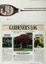 Better Homes & Gardens June 1988 Magazine Article: CLIP AND DRY SUMMER FLOWERS