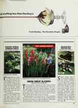 Better Homes & Gardens June 1988 Magazine Article: HARVEST SPRING CABBAGE CROPS