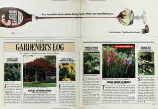 Better Homes & Gardens June 1988 Magazine Article: Page 32