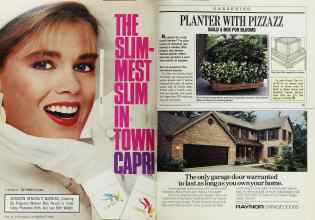 Better Homes & Gardens June 1988 Magazine Article: Page 44