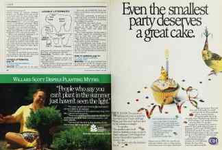 Better Homes & Gardens June 1988 Magazine Article: Page 90