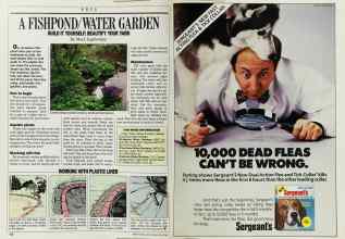 Better Homes & Gardens June 1988 Magazine Article: Page 152