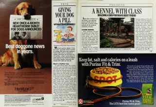 Better Homes & Gardens June 1988 Magazine Article: Page 154