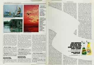 Better Homes & Gardens June 1988 Magazine Article: Page 168